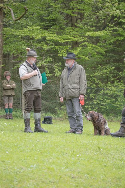 Hundepräsentation 2019